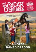 Boxcar Children 114 A Horse Named Dragon