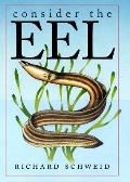 Consider The Eel