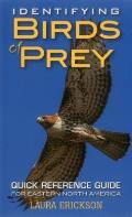 Identifying Birds of Prey: Quick Reference Guide for Eastern North America