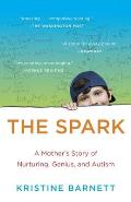 Spark A Mothers Story of Nurturing Genius
