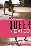 Queer Mexico: Cinema and Television Since 2000