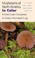 Mushrooms of North America in Color A Field Guide Companion to Seldom Illustrated Fungi