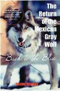 Return of the Mexican Gray Wolf: Back to the Blue