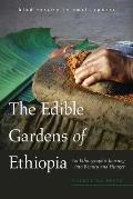 Edible Gardens of Ethiopia An Ethnographic Journey Into Beauty & Hunger