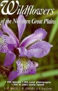 Wildflowers Of The Northern Great Plains