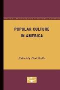 Popular Culture In America