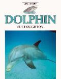 Dolphin Life Story