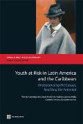 Youth at Risk in Latin America and the Caribbean: Understanding the Causes, Realizing the Potential