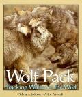 Wolf Pack Tracking Wolves In The Wild