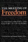 The Meaning Of Freedom: Economics, Politics, and Culture after Slavery