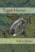 Tiger Heron