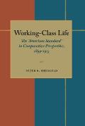 Working-Class Life: The American Standard in Comparative Perspective, 1899-1913