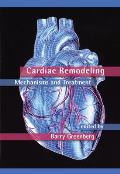 Cardiac Remodeling: Mechanisms and Treatment