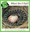 What Do I Eat Animals Q & A