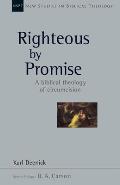 Righteous by Promise: A Biblical Theology of Circumcision Volume 45
