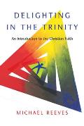 Delighting In The Trinity An Introduction To The Christian Faith