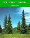 Northwest Conifers A Photographic Key