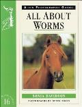 All about Worms No 16