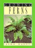 Growing Ferns