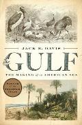 Gulf The Making of an American Sea