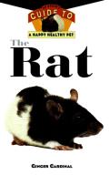 Rat An Owners Guide To A Happy Healthy Pet