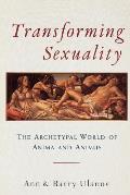 Transforming Sexuality The Archetypal World of Anima & Animus