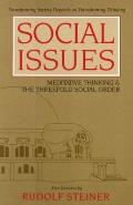Social Issues: Meditative Thinking & the Threefold Social Order (Cw 334)