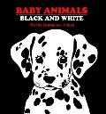 Baby Animals Black & White