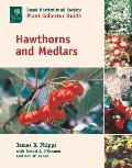 Hawthorns & Medlars