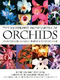 Illustrated Encyclopedia Of Orchids