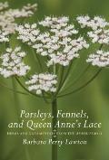 Parsleys Fennels & Queen Annes Lace Herbs & Ornamentals from the Umbel Family