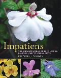 Impatiens The Vibrant World of Busy Lizzies Balsams & Touch Me Nots