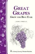 Great Grapes Grow The Best Ever