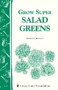 Grow Super Salad Greens