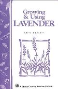 Growing & Using Lavender