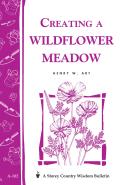 Creating A Wildflower Meadow