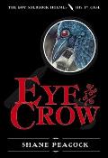 Boy Sherlock Holmes 01 Eye Of The Crow