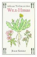 Guide to Collecting Wild Herbs