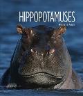 Living Wild Hippos