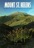 Mount St Helens The Eruption & Recovery