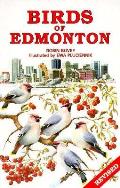 Birds of Edmonton