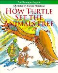 How Turtle Set The Animals Free