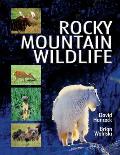 Rocky Mountain Wildlife Ecology Behavior Identification Distribution