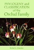 Phylogeny & Classification Of The Orchid