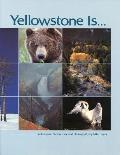 Yellowstone Is