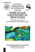 Pore Scale Geochemical Processes