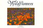 Wildflowers of California: Twenty Postcards