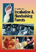 A Guide to Incubation & Handraising Parrots
