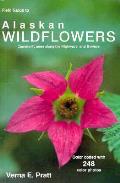 Field Guide To Alaskan Wildflowers Commonly Seen Along the Highways & Byways
