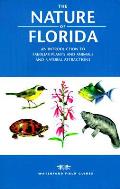 Nature Of Florida An Introduction To Familiar P